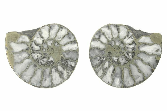 Pyritized Cut Ammonite Fossil Pair - Morocco #276642